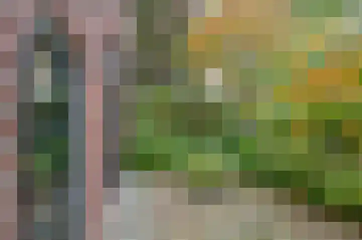 Horstweg 7 Hummelo thumbnail 10