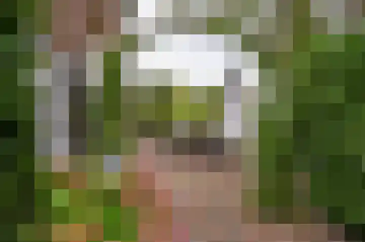 Horstweg 7 Hummelo thumbnail 11