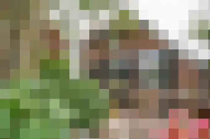 Horstweg 7 Hummelo thumbnail 12