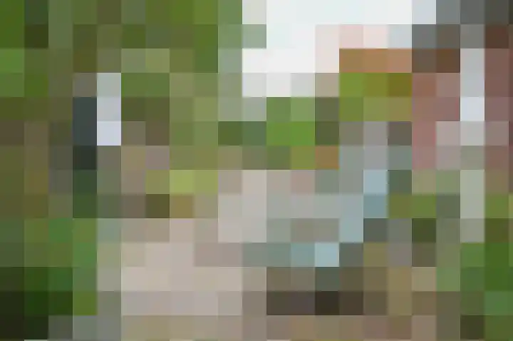 Horstweg 7 Hummelo thumbnail 13