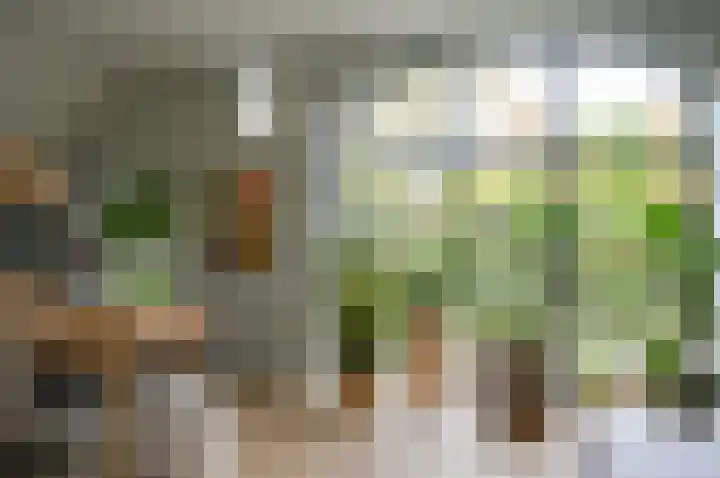 Horstweg 7 Hummelo thumbnail 16