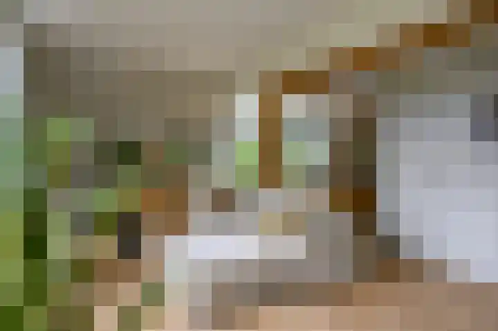 Horstweg 7 Hummelo thumbnail 18