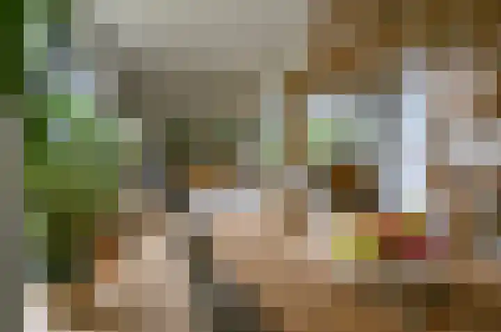 Horstweg 7 Hummelo thumbnail 20