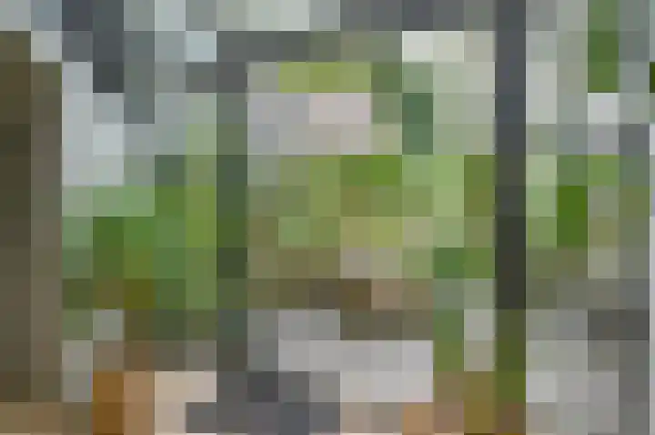 Horstweg 7 Hummelo thumbnail 23