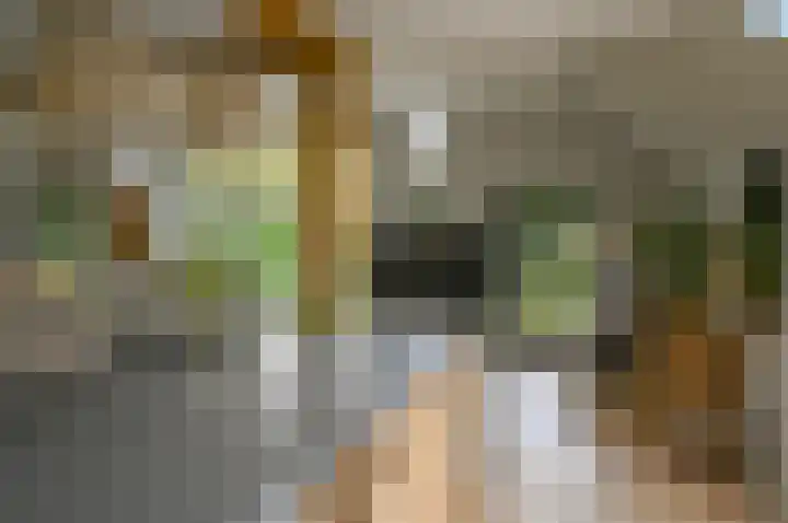Horstweg 7 Hummelo thumbnail 26