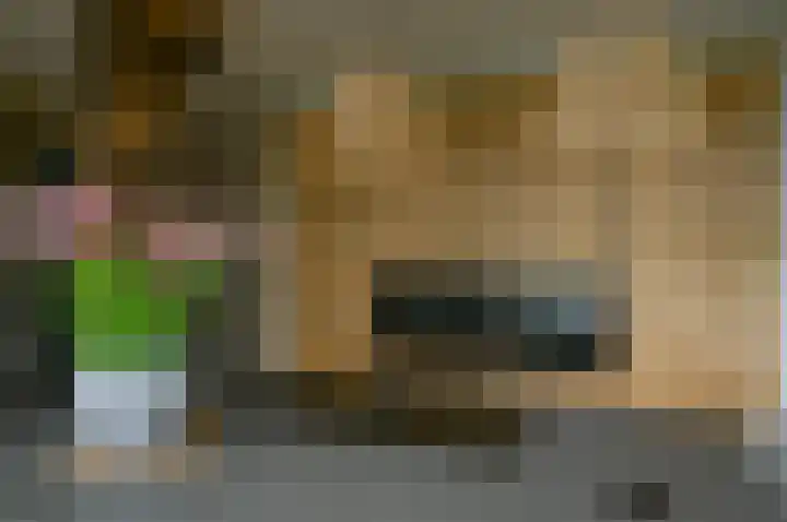 Horstweg 7 Hummelo thumbnail 27