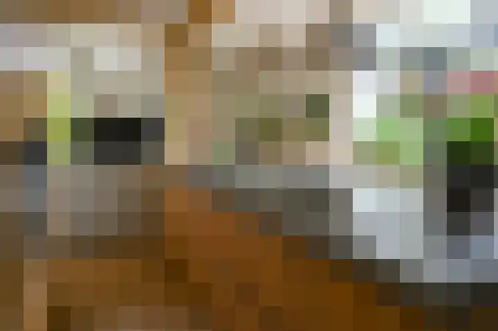 Horstweg 7 Hummelo thumbnail 29