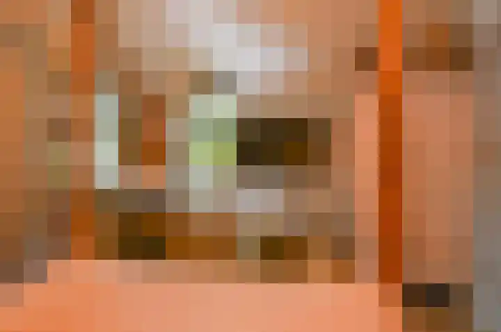Horstweg 7 Hummelo thumbnail 33