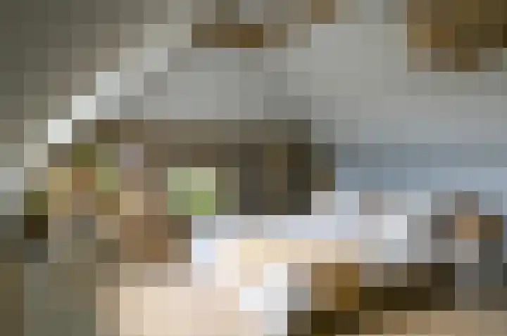 Horstweg 7 Hummelo thumbnail 36