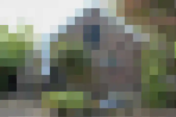 Horstweg 7 Hummelo thumbnail 39