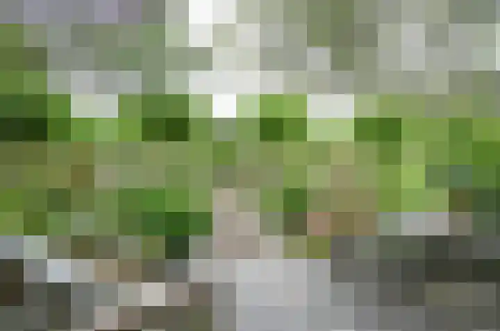 Horstweg 7 Hummelo thumbnail 4