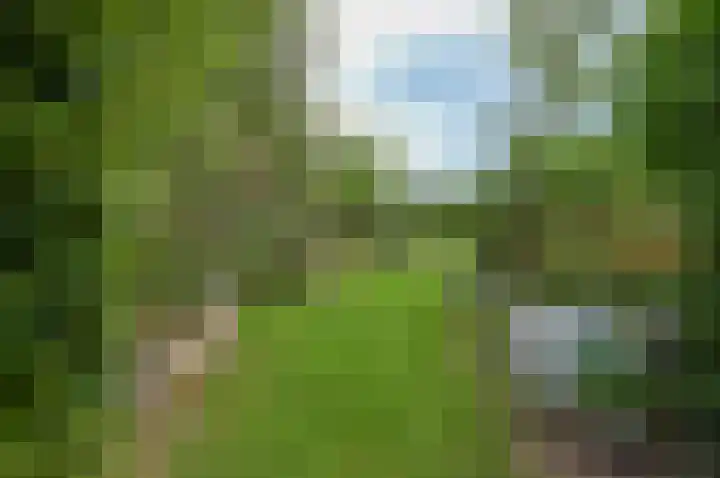 Horstweg 7 Hummelo thumbnail 46