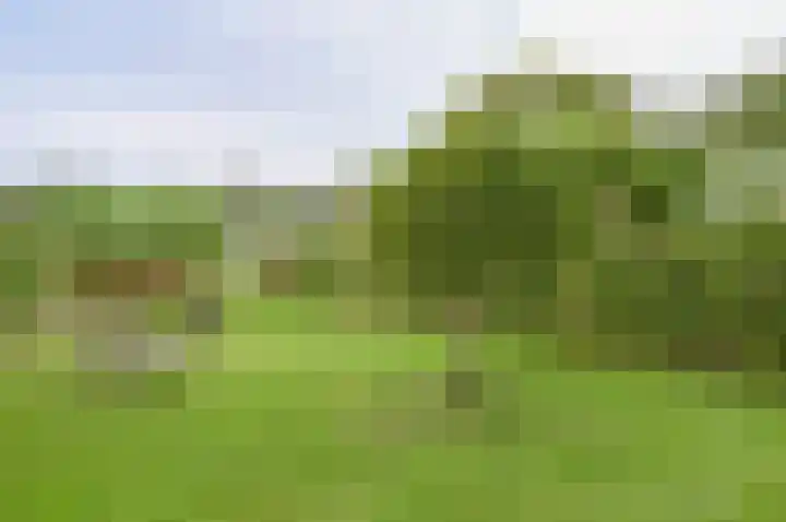 Horstweg 7 Hummelo thumbnail 47