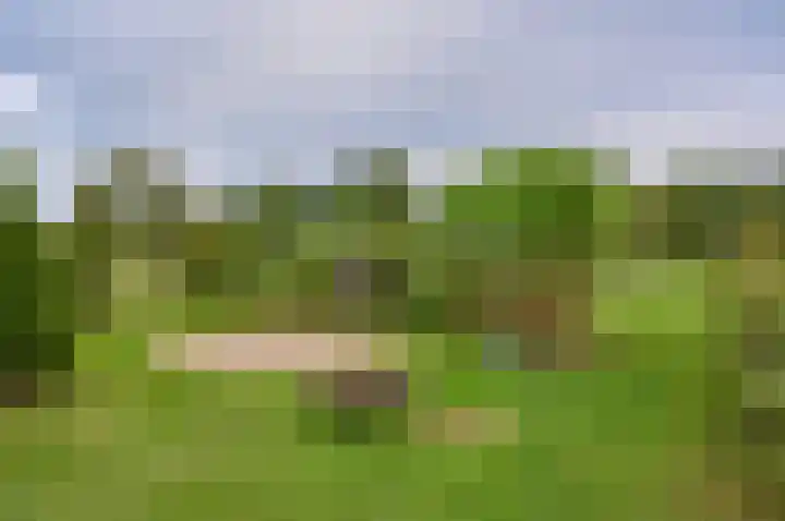 Horstweg 7 Hummelo thumbnail 48