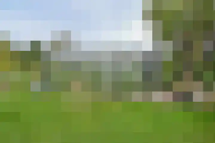 Horstweg 7 Hummelo thumbnail 49