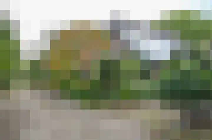 Horstweg 7 Hummelo thumbnail 5