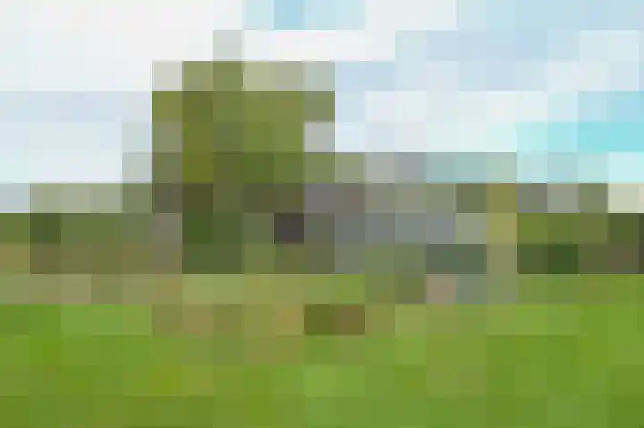 Horstweg 7 Hummelo thumbnail 50