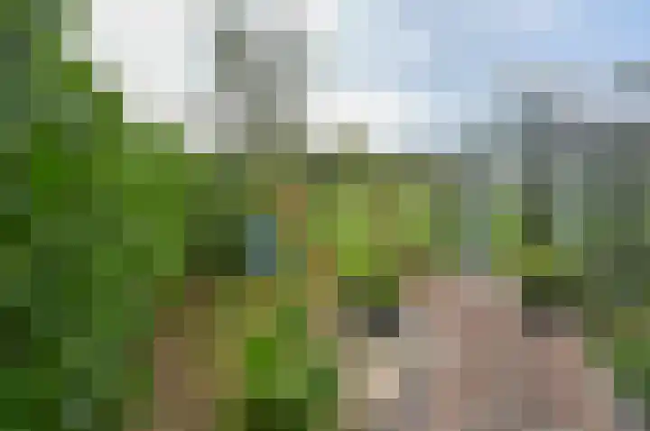 Horstweg 7 Hummelo thumbnail 51