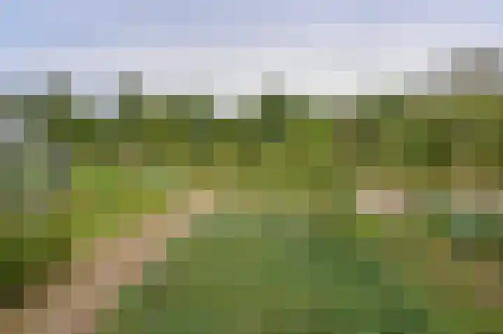 Horstweg 7 Hummelo thumbnail 52