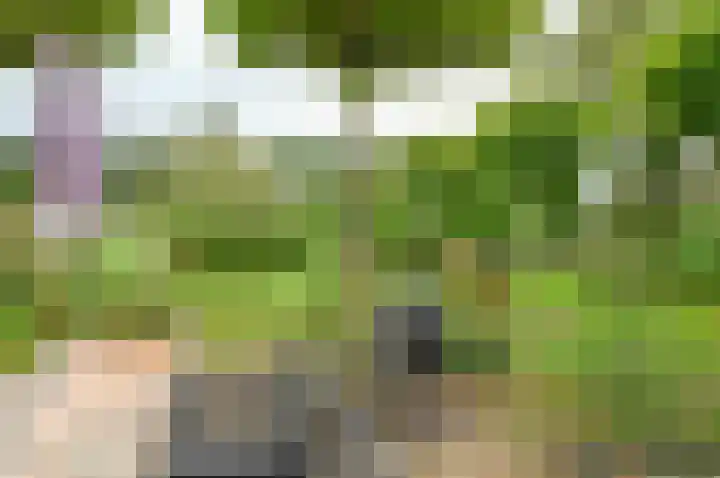 Horstweg 7 Hummelo thumbnail 53