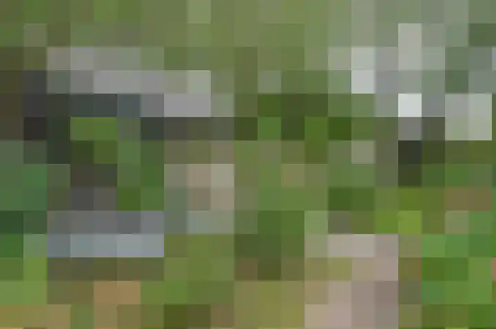 Horstweg 7 Hummelo thumbnail 54
