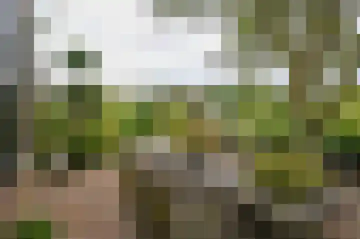 Horstweg 7 Hummelo thumbnail 55