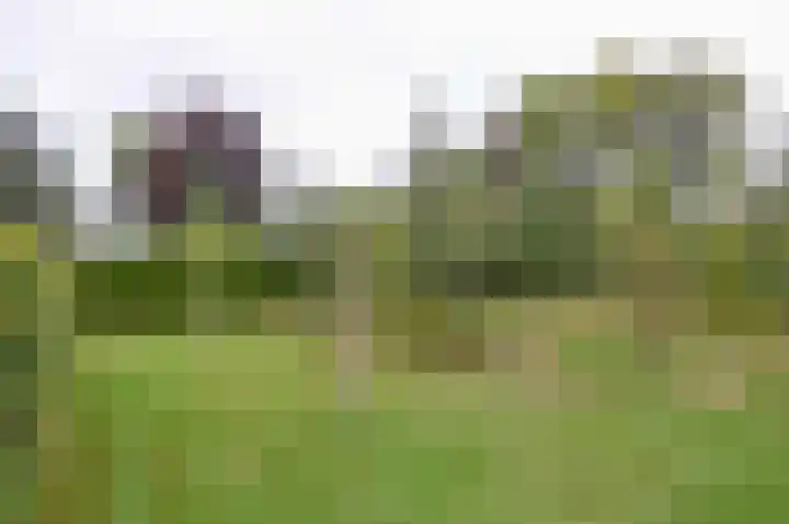 Horstweg 7 Hummelo thumbnail 57