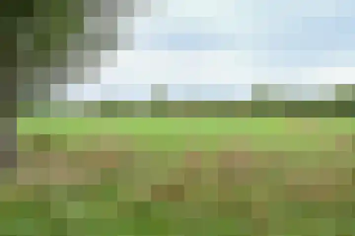 Horstweg 7 Hummelo thumbnail 58