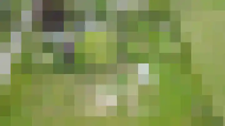 Horstweg 7 Hummelo thumbnail 59