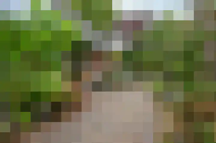 Horstweg 7 Hummelo thumbnail 6