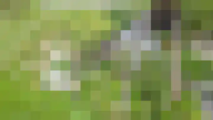 Horstweg 7 Hummelo thumbnail 60