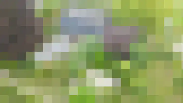Horstweg 7 Hummelo thumbnail 64