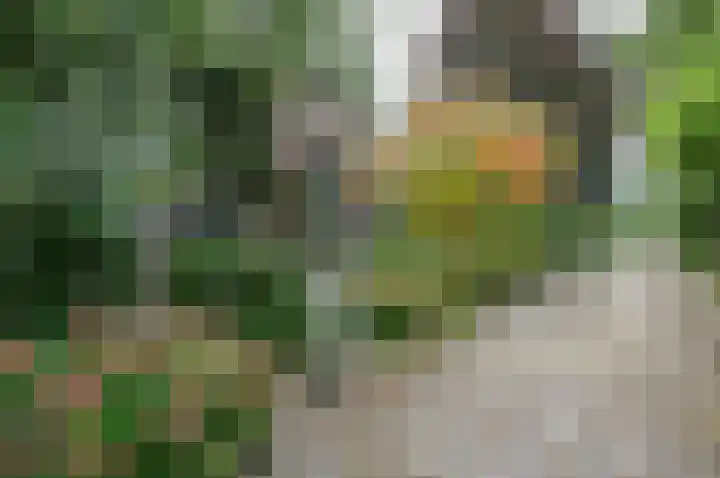 Horstweg 7 Hummelo thumbnail 7