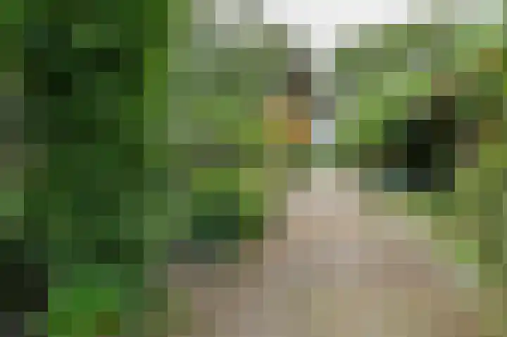 Horstweg 7 Hummelo thumbnail 8
