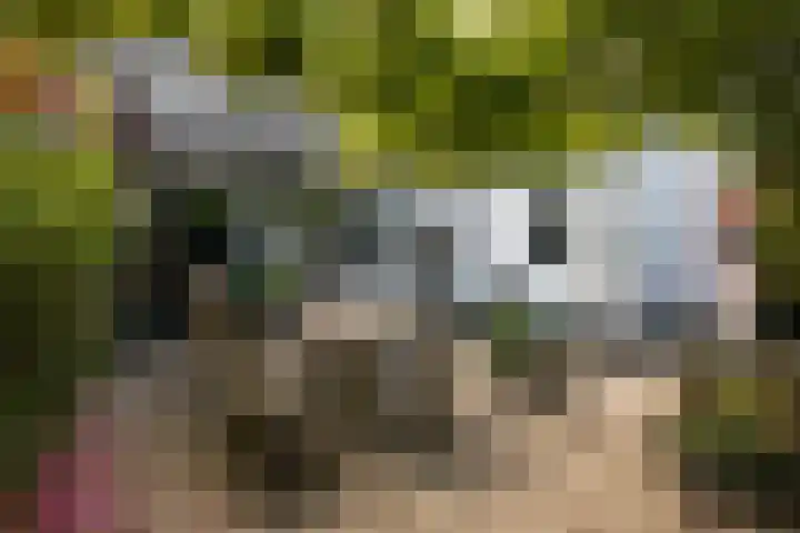 Horstweg 7 Parrega thumbnail 39