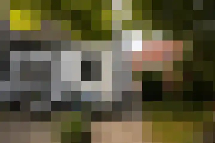 Horstweg 7 Parrega thumbnail 42