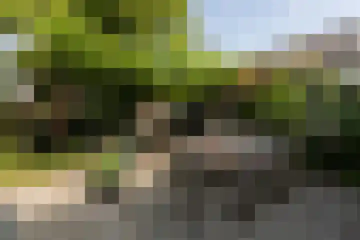 Horstweg 7 Parrega thumbnail 43