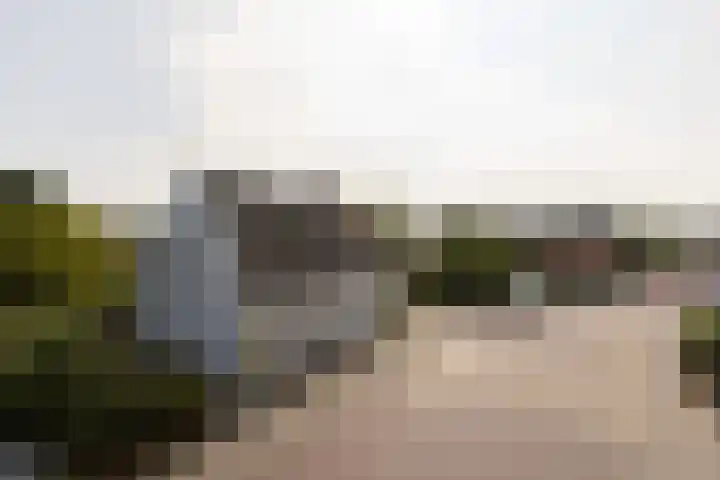 Horstweg 7 Parrega thumbnail 44