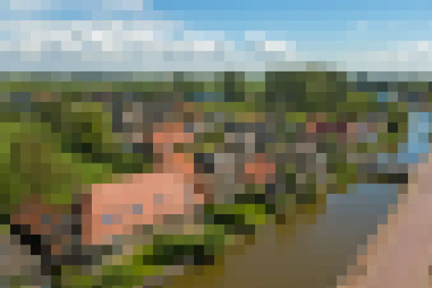 Horstweg 9 Parrega thumbnail 30
