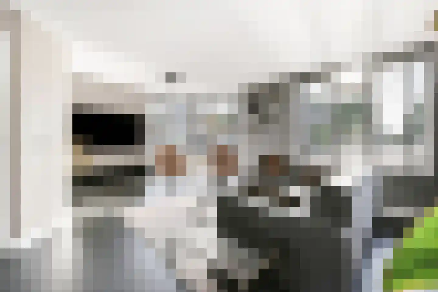 Hortastraat 18 Dongen thumbnail 11