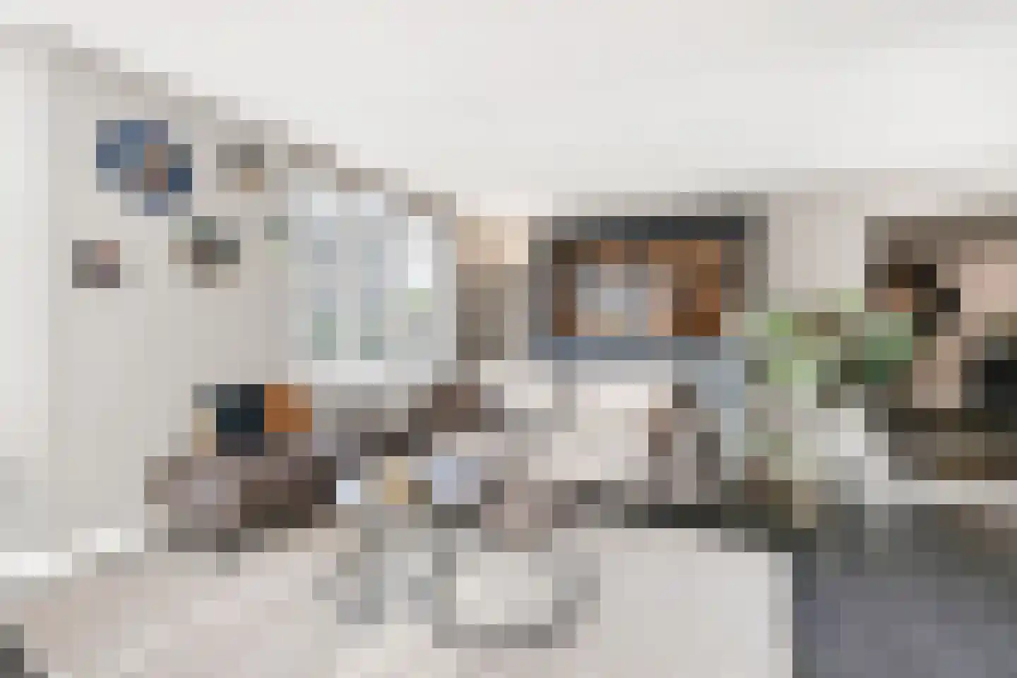 Hortastraat 18 Dongen thumbnail 13