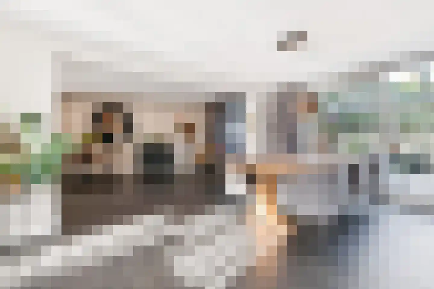 Hortastraat 18 Dongen thumbnail 15