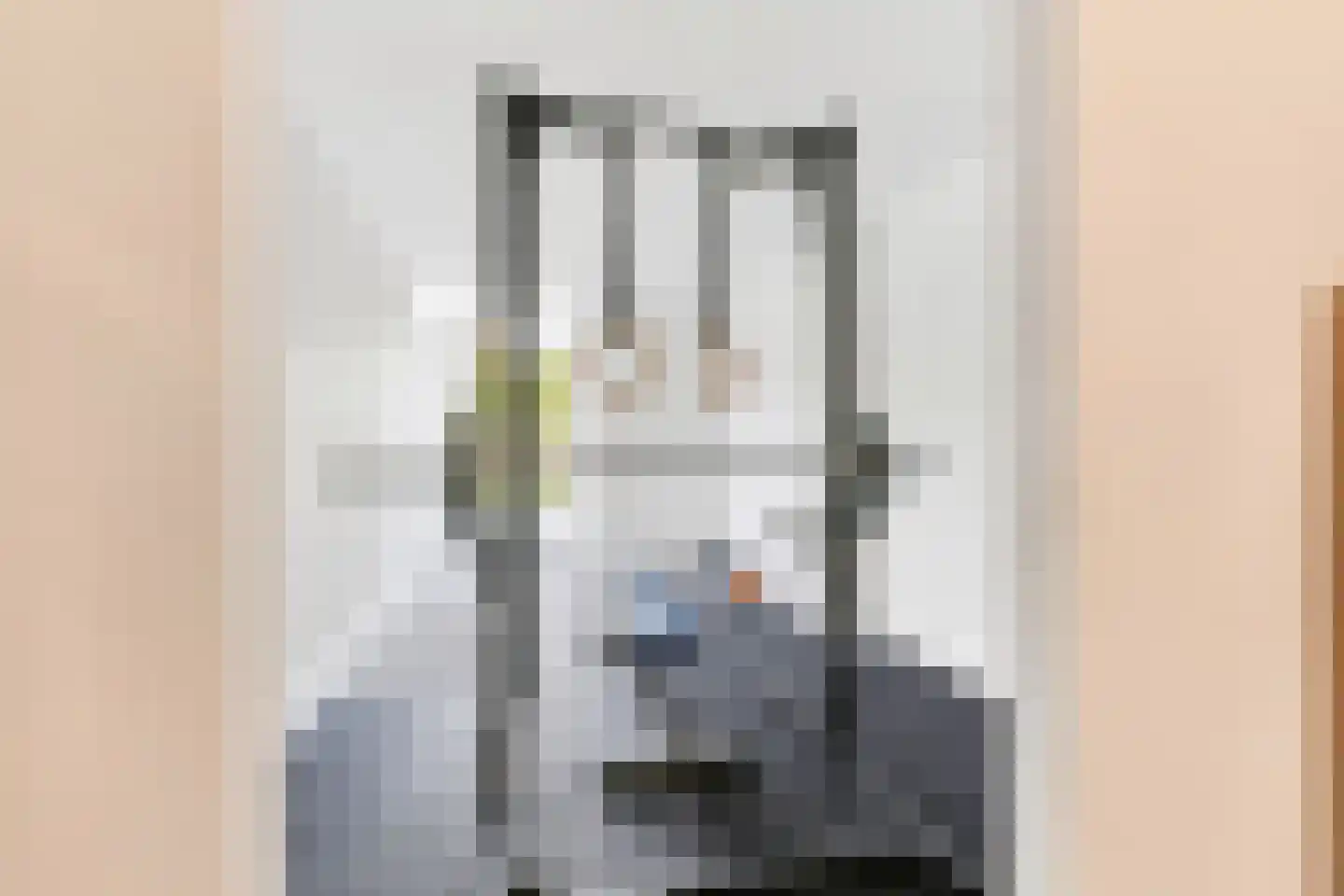 Hortastraat 18 Dongen thumbnail 34