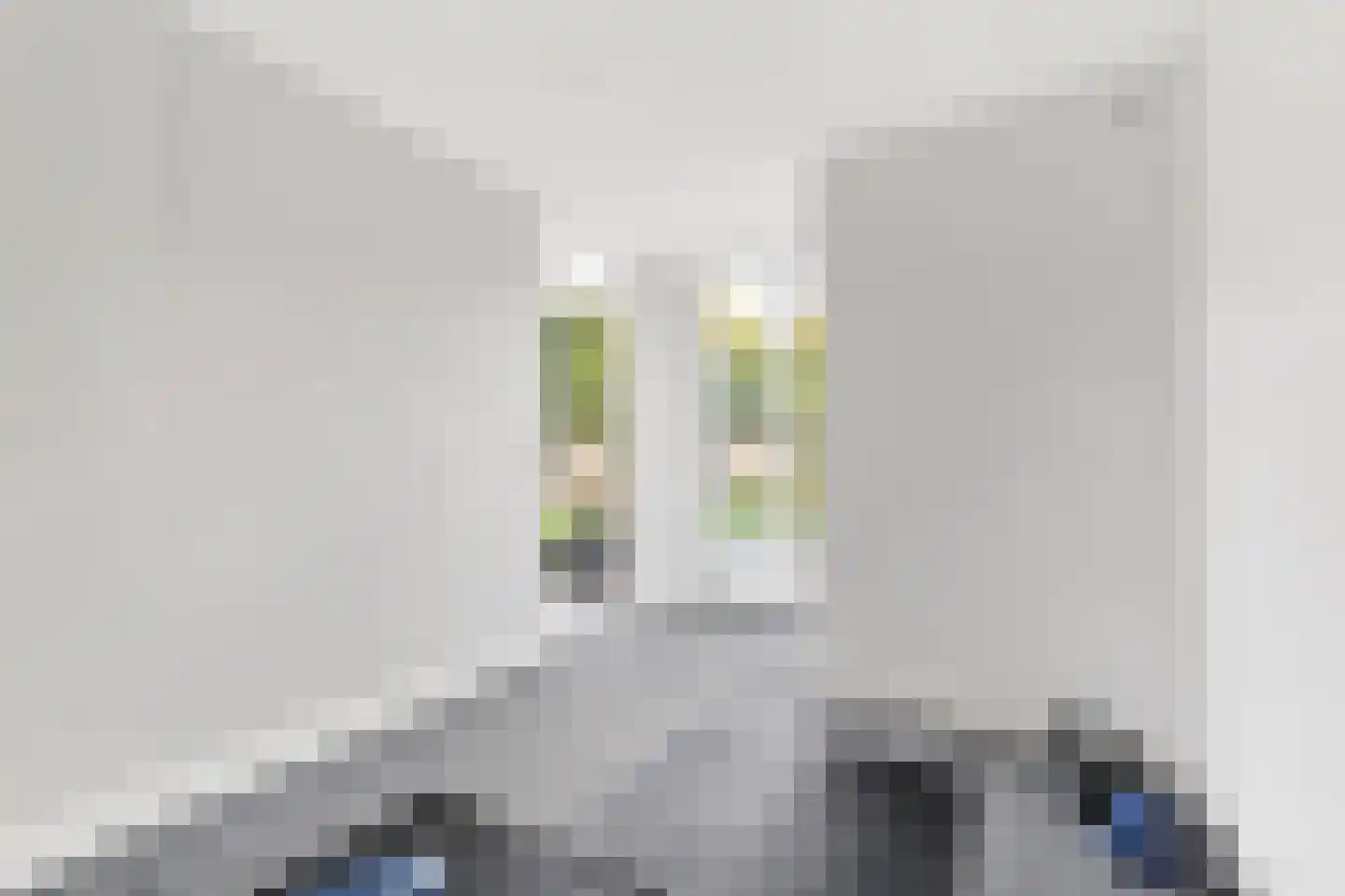 Hortastraat 18 Dongen thumbnail 35