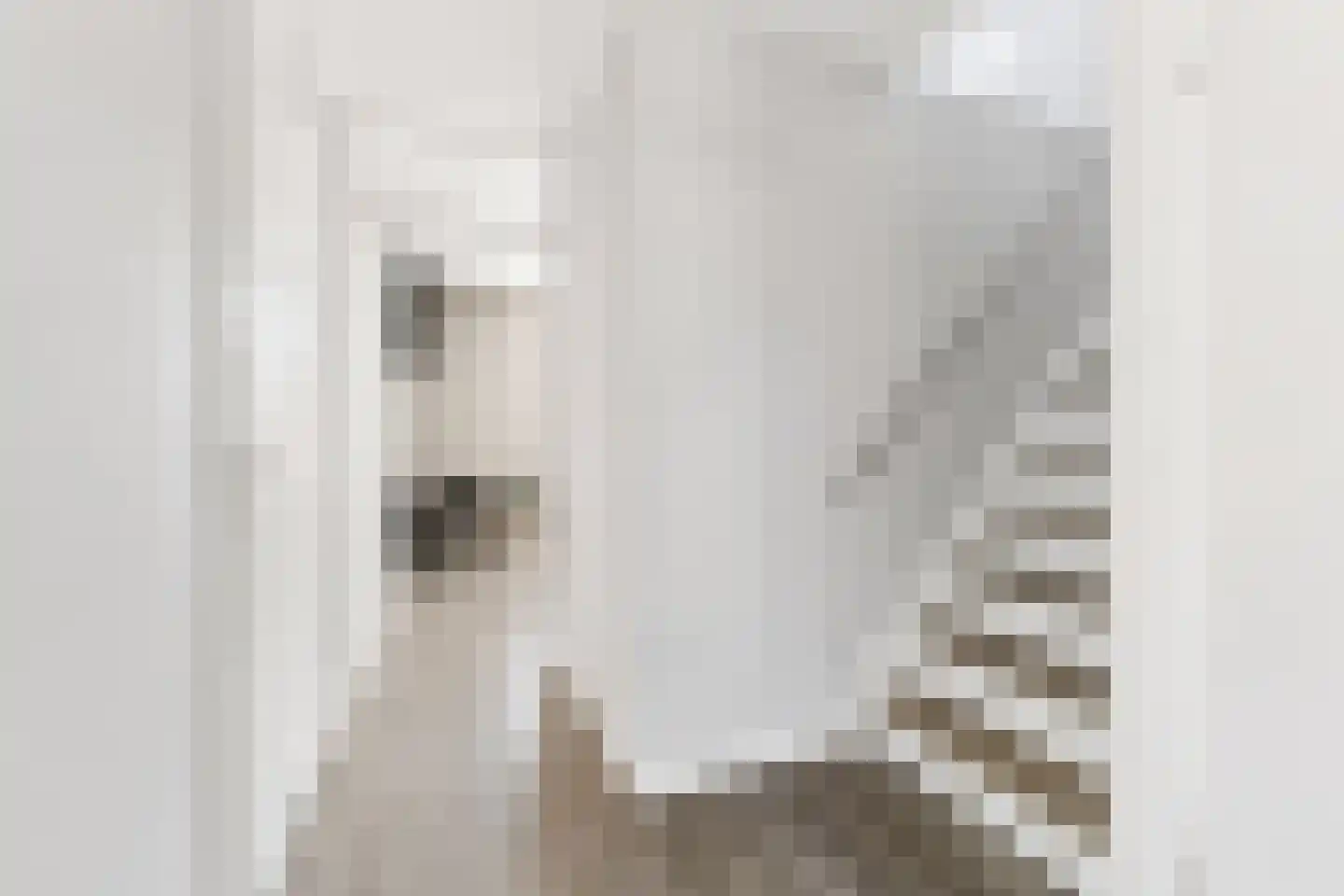 Hortastraat 18 Dongen thumbnail 38