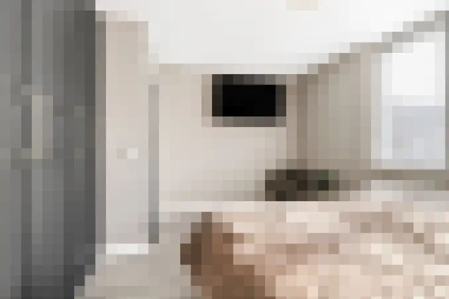 Hortastraat 18 Dongen thumbnail 41