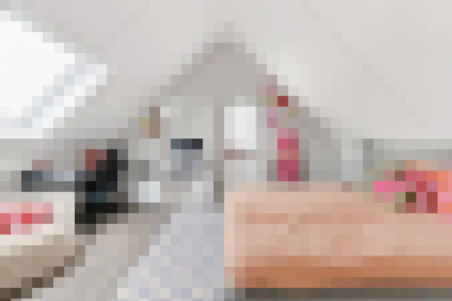 Hortastraat 18 Dongen thumbnail 55