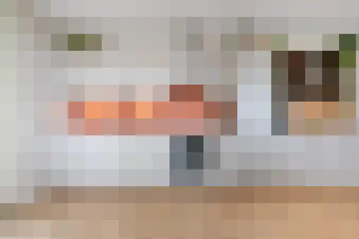 Horteler 7 Zevenaar thumbnail 12