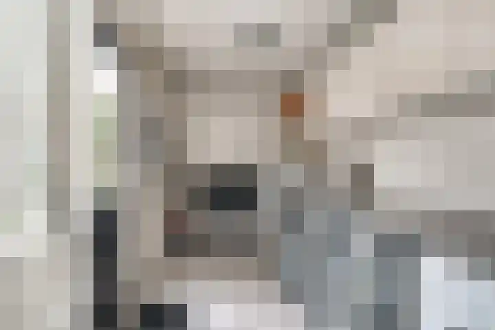 Horteler 7 Zevenaar thumbnail 16
