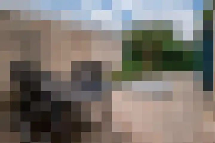 Horteler 7 Zevenaar thumbnail 20